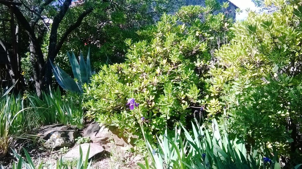 Mas Montebello Rigarda Екстериор снимка